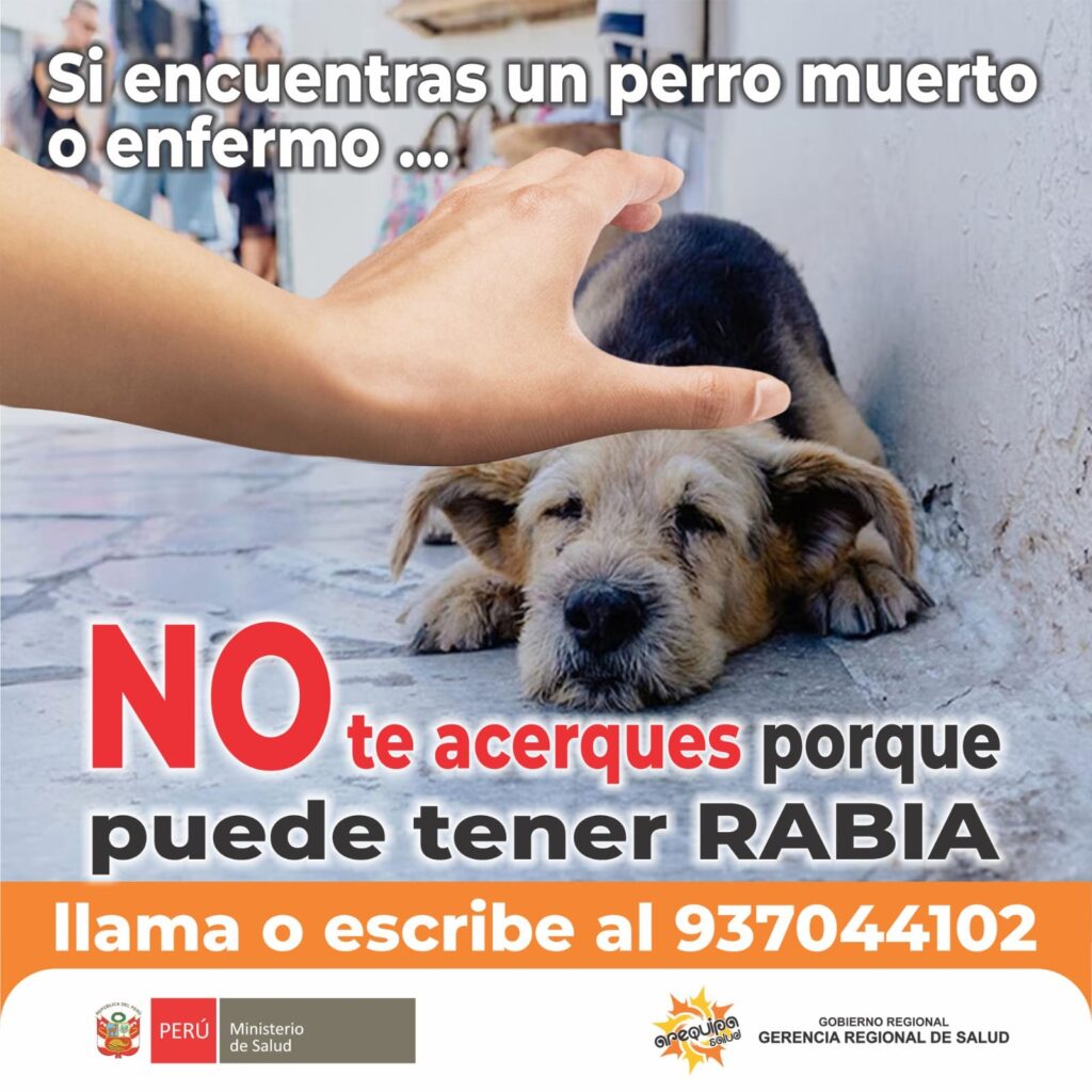 Geresa Arequipa habilita número para casos de rabia canina
