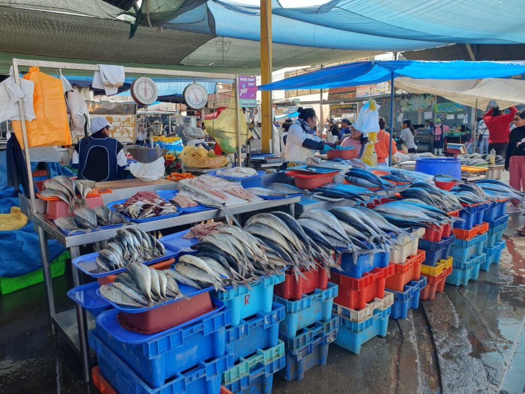 Conoce el precio de varios productos desde el Terminal Pesquero FOTO: Isaac Vilca / HBA Noticias