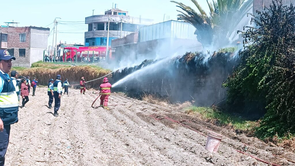 Bomberos lograron controlar a tiempo incendio en Paucarpata FOTO: Diego Ramos