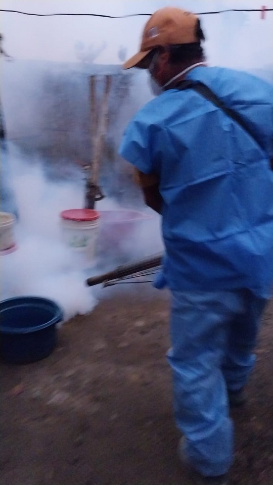 Se inició la fumigación de viviendas en Acarí para eliminar mosquito del dengue